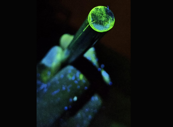 Magnetic Particle Testing Services,Penetrant Testing Services,Ultrasonic Testing Services,Radiography Testing Services,Visual Testing Services,Eddy Metal Sorting,Eddy Current Testing Services,ECT Testing,Eddy Crack Testing,MPI Testing,MPI Inspection